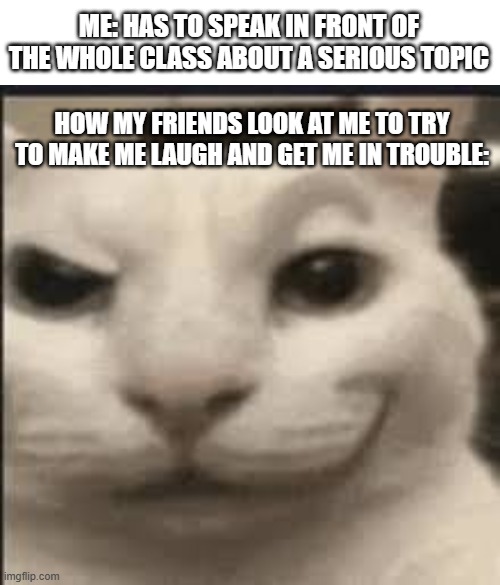 I do the same thing to them too | ME: HAS TO SPEAK IN FRONT OF THE WHOLE CLASS ABOUT A SERIOUS TOPIC; HOW MY FRIENDS LOOK AT ME TO TRY TO MAKE ME LAUGH AND GET ME IN TROUBLE: | image tagged in school,relatable,funny,memes,school memes,cat | made w/ Imgflip meme maker
