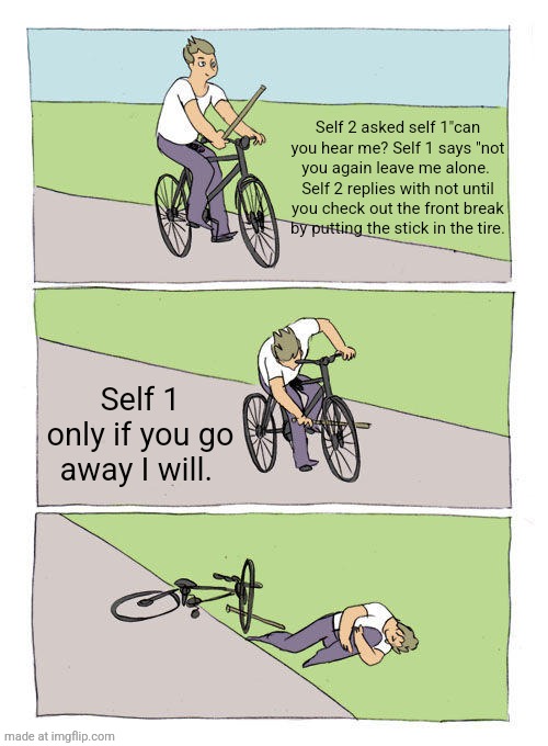 Bike Fall | Self 2 asked self 1"can you hear me? Self 1 says "not you again leave me alone.  Self 2 replies with not until you check out the front break by putting the stick in the tire. Self 1 only if you go away I will. | image tagged in memes,bike fall | made w/ Imgflip meme maker