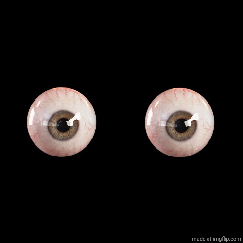 I'll consider it, sure. No fan of literature. | image tagged in memes,blank transparent square | made w/ Imgflip meme maker