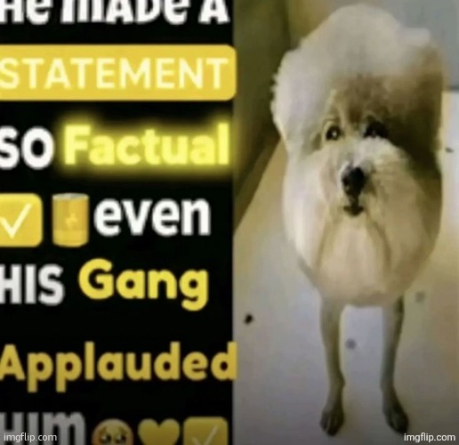 he made a statement so factual | image tagged in he made a statement so factual | made w/ Imgflip meme maker