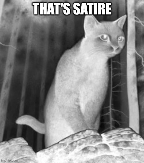 Post when satire is being posted | THAT'S SATIRE | image tagged in satire cat | made w/ Imgflip meme maker