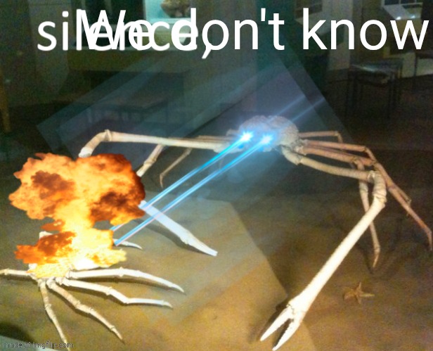 Silence Crab | We don't know | image tagged in silence crab | made w/ Imgflip meme maker