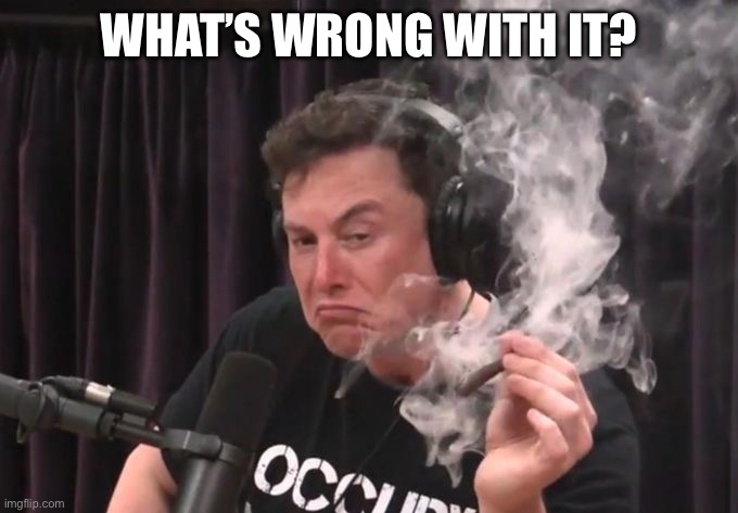 WHAT’S WRONG WITH IT? | image tagged in elon musk smoking weed | made w/ Imgflip meme maker