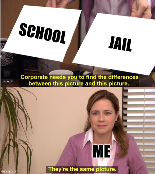 They’re the same thing | SCHOOL; JAIL; ME | image tagged in memes,they're the same picture | made w/ Imgflip meme maker