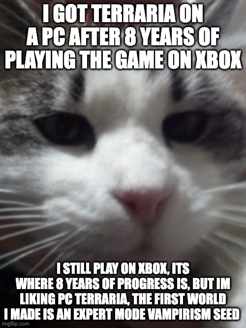 the vampirism seed is by far my favorite, you start underground and sunlight burns you along with lava doing way more damage | I GOT TERRARIA ON A PC AFTER 8 YEARS OF PLAYING THE GAME ON XBOX; I STILL PLAY ON XBOX, ITS WHERE 8 YEARS OF PROGRESS IS, BUT IM LIKING PC TERRARIA, THE FIRST WORLD I MADE IS AN EXPERT MODE VAMPIRISM SEED | image tagged in sour hart announcement template | made w/ Imgflip meme maker