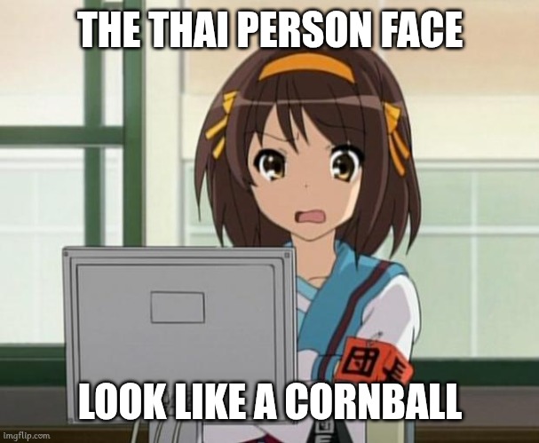 Thai Cornball | THE THAI PERSON FACE; LOOK LIKE A CORNBALL | image tagged in haruhi internet disturbed,anime,memes | made w/ Imgflip meme maker