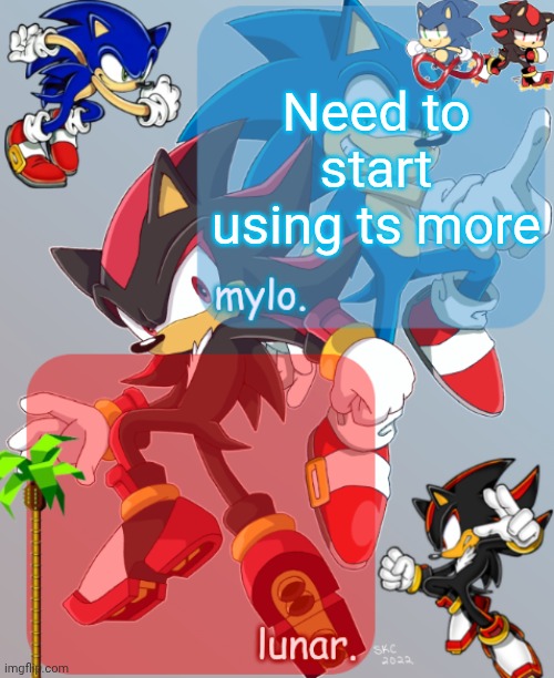 shared sonic and shadow temp | Need to start using ts more | image tagged in shared sonic and shadow temp | made w/ Imgflip meme maker