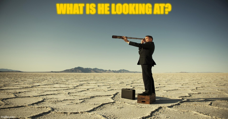 Searching motivation | WHAT IS HE LOOKING AT? | image tagged in searching motivation | made w/ Imgflip meme maker
