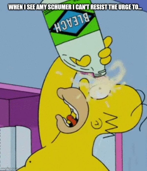 Homer bleaching eyes | WHEN I SEE AMY SCHUMER I CAN'T RESIST THE URGE TO... | image tagged in homer bleaching eyes | made w/ Imgflip meme maker
