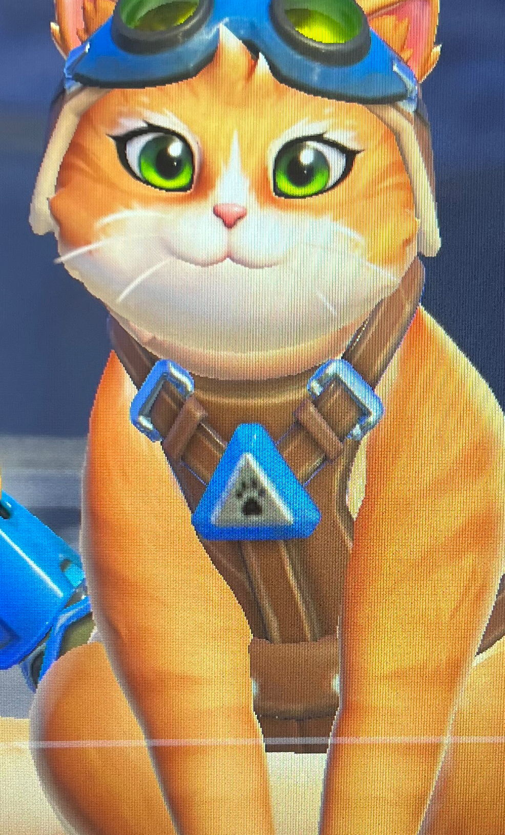 Gato Blank Meme Template