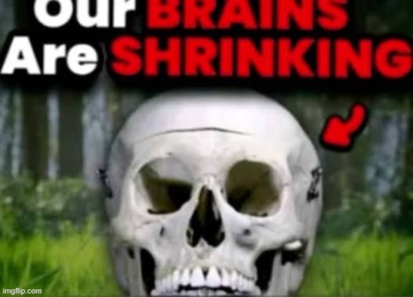 image tagged in our brains are shrinking | made w/ Imgflip meme maker