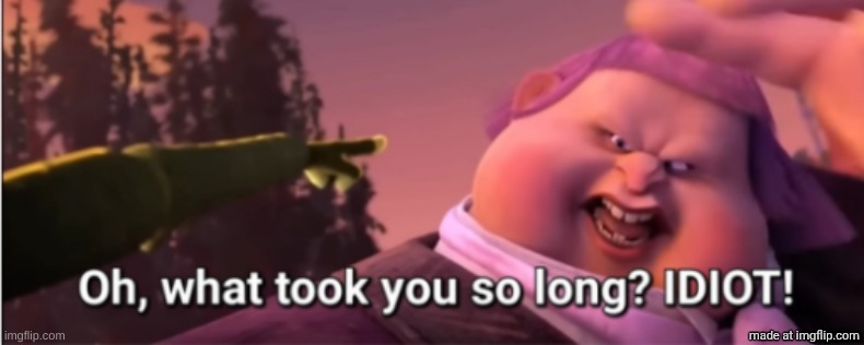 image tagged in oh what took you so long idiot | made w/ Imgflip meme maker