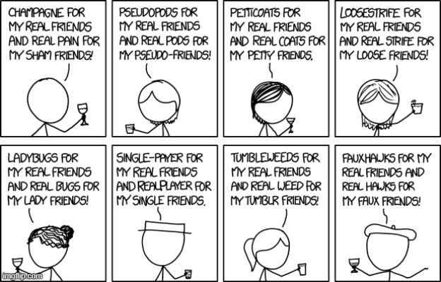 "Platonic solids for my real friends and real solids for my platonic friends!" | image tagged in champagne,toast,champagne for my real friends,real pain for my sham friends,rhymes,what | made w/ Imgflip meme maker