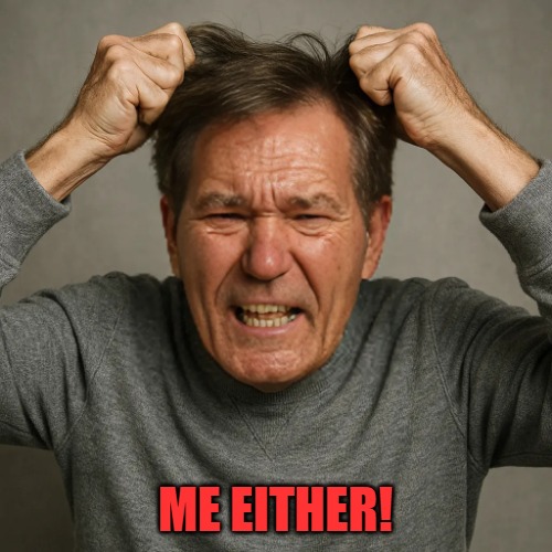 WHY! | ME EITHER! | image tagged in why | made w/ Imgflip meme maker