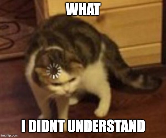 Loading cat | WHAT I DIDNT UNDERSTAND | image tagged in loading cat | made w/ Imgflip meme maker