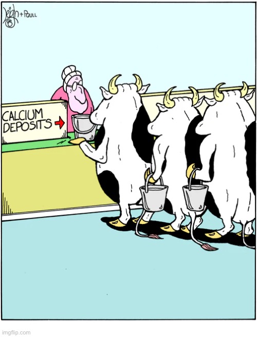 Rubes | image tagged in comics,rubes,cows,bank,calcium deposits | made w/ Imgflip meme maker
