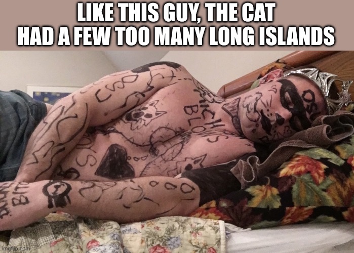LIKE THIS GUY, THE CAT HAD A FEW TOO MANY LONG ISLANDS | image tagged in michigan fan passed out at ohio state | made w/ Imgflip meme maker