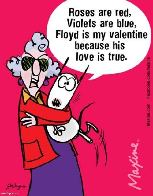 Happy Valentine's Day, everybody! | image tagged in dog,valentine,love,true,valentine's day,happy valentine's day | made w/ Imgflip meme maker
