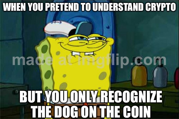 WHEN YOU PRETEND TO UNDERSTAND CRYPTO | WHEN YOU PRETEND TO UNDERSTAND CRYPTO; BUT YOU ONLY RECOGNIZE THE DOG ON THE COIN | image tagged in memes,don't you squidward,crypto,cryptocurrency,dog meme,currency | made w/ Imgflip meme maker