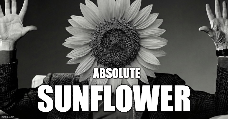 absolute sunflower | ABSOLUTE; SUNFLOWER | image tagged in absolute cinema | made w/ Imgflip meme maker