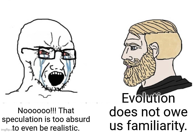 For those who reconstruct the past based on speculative science: | Evolution does not owe us familiarity. Noooooo!!! That speculation is too absurd to even be realistic. | image tagged in evolution,familiarity,history,memes,science,speculating | made w/ Imgflip meme maker
