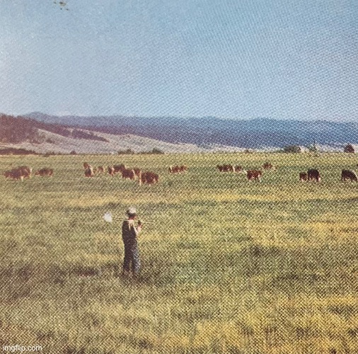 This is a color picture from a 1948 textbook about grasses | made w/ Imgflip meme maker