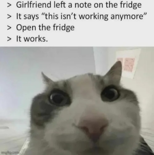 made w/ Imgflip meme maker