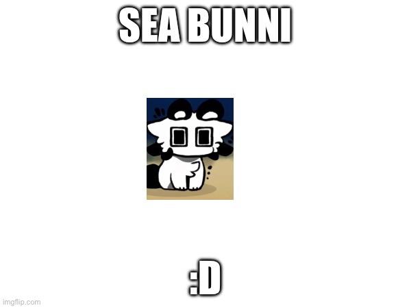 Sea bunni | SEA BUNNI; :D | made w/ Imgflip meme maker