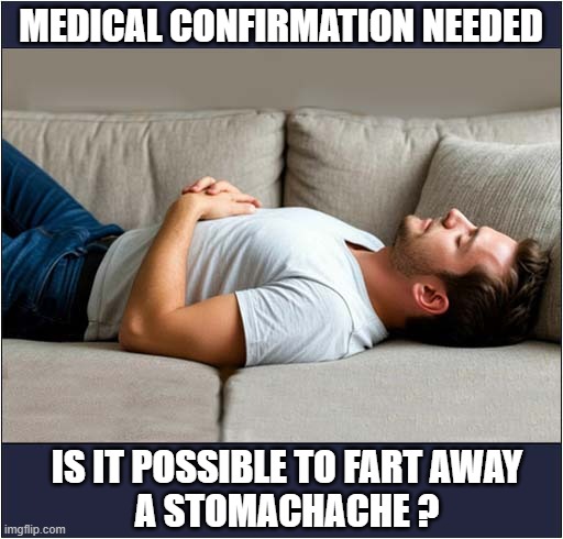 I Need Help ! | MEDICAL CONFIRMATION NEEDED; IS IT POSSIBLE TO FART AWAY
A STOMACHACHE ? | image tagged in help me,farting,stomachache | made w/ Imgflip meme maker