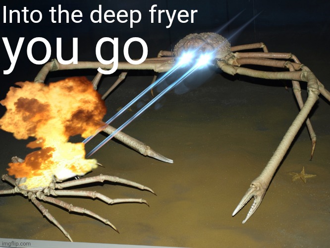 Laser Crab | Into the deep fryer you go | image tagged in laser crab | made w/ Imgflip meme maker