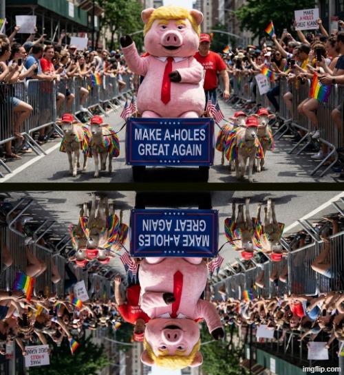 JOIN THE MAGA PARADE | image tagged in lgbtq,trump,pig,sheep,parade,maga | made w/ Imgflip meme maker