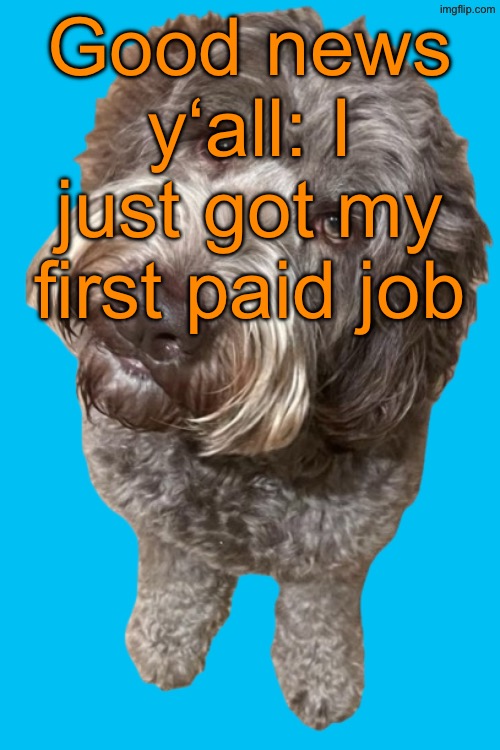 I‘m gonna work as a math tutor for 5th-9th graders | Good news y‘all: I just got my first paid job | image tagged in northers dog transparent | made w/ Imgflip meme maker