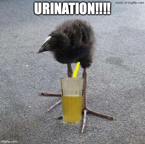 URINATION!!!! | image tagged in urination | made w/ Imgflip meme maker