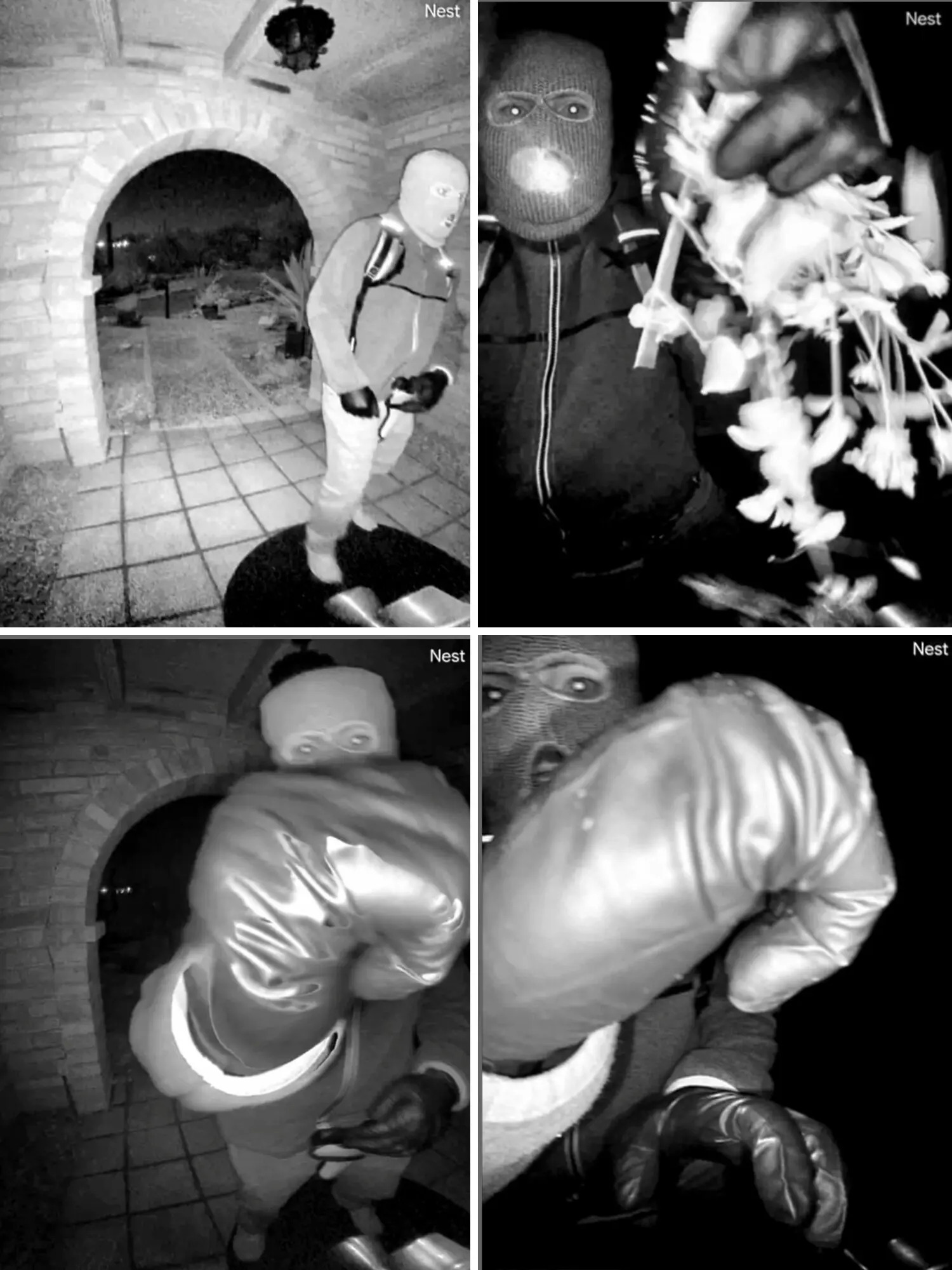 TRUMP SUPPORTER Blank Meme Template