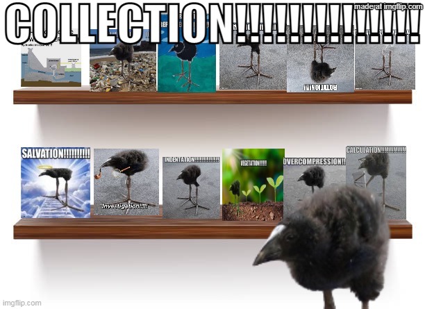 COLLECTION!!!!!!!!!! | image tagged in collection | made w/ Imgflip meme maker