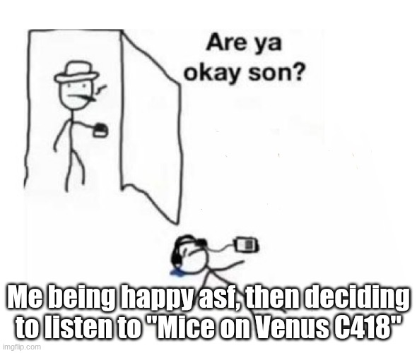 Mice On Venus ? | Me being happy asf, then deciding to listen to "Mice on Venus C418" | image tagged in are you ok son | made w/ Imgflip meme maker