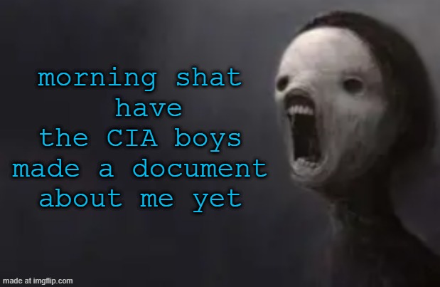 void lazy | morning shat
 have the CIA boys made a document about me yet | image tagged in void lazy | made w/ Imgflip meme maker