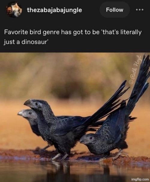 Funny part is, birds are dinosaurs | made w/ Imgflip meme maker