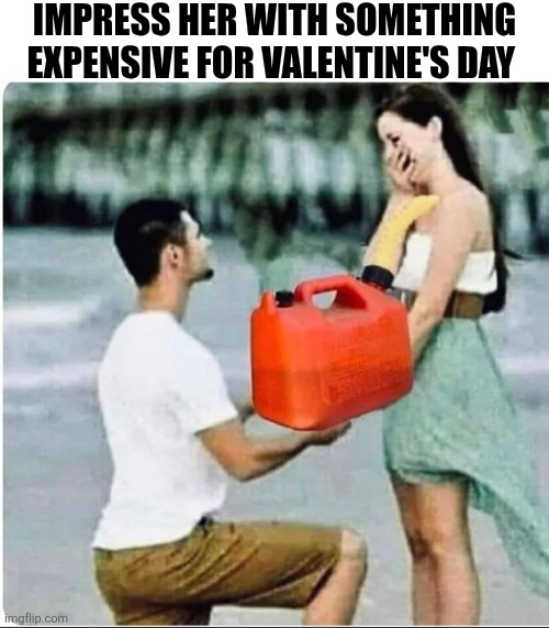 Impress Her With Something Expensive For Valentine's Day | IMPRESS HER WITH SOMETHING EXPENSIVE FOR VALENTINE'S DAY | image tagged in chrisjoines1 | made w/ Imgflip meme maker