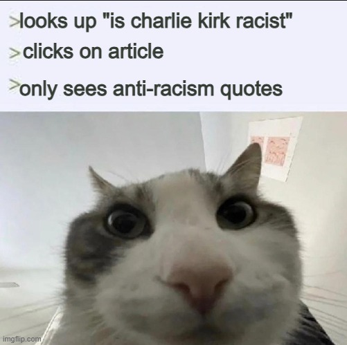 But he's opposing DEI, the race-based thing! That's racist!!! | looks up "is charlie kirk racist"; clicks on article; only sees anti-racism quotes | image tagged in cat looks inside,dei,charlie kirk,racism,liberal logic,conservatives | made w/ Imgflip meme maker