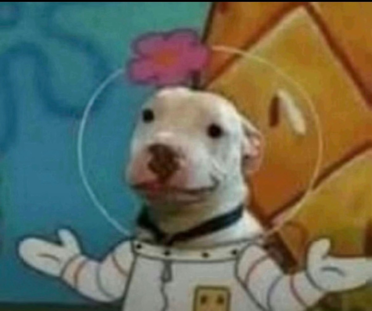 Hehe Blank Meme Template