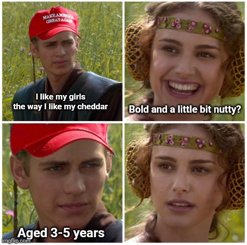 Anikin padme maga hat | I like my girls the way I like my cheddar; Bold and a little bit nutty? Aged 3-5 years | image tagged in anikin padme maga hat,scumbag republicans,terrorists,trailer trash,pedophiles,conservative hypocrisy | made w/ Imgflip meme maker