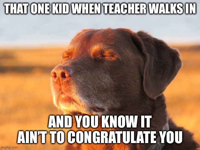 You Know You Cooked When This Happens | THAT ONE KID WHEN TEACHER WALKS IN; AND YOU KNOW IT AIN’T TO CONGRATULATE YOU | image tagged in cooked dog | made w/ Imgflip meme maker