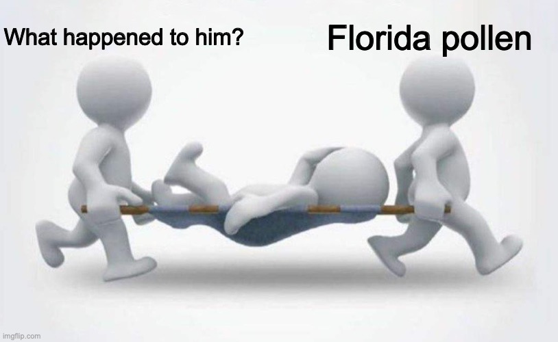 Going through it now | What happened to him? Florida pollen | image tagged in what happened to him | made w/ Imgflip meme maker