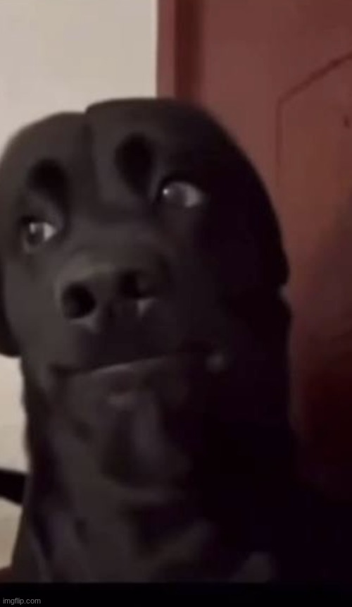 I guess bro | image tagged in i guess bro | made w/ Imgflip meme maker