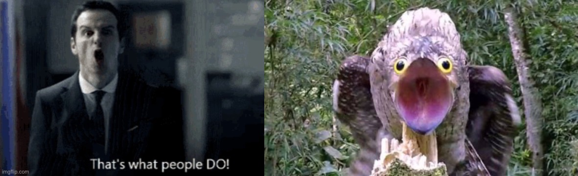 Same vibe dude | image tagged in bbc sherlock | made w/ Imgflip meme maker