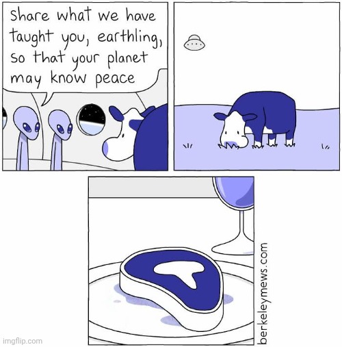 Cow | image tagged in meat,cow,cows,earthling,comics,comics/cartoons | made w/ Imgflip meme maker
