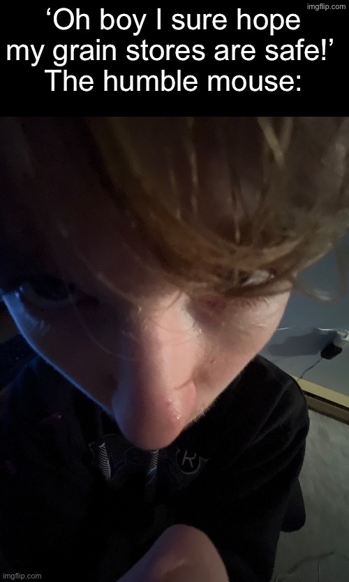 ‘Oh boy I sure hope my grain stores are safe!’ 
The humble mouse: | made w/ Imgflip meme maker