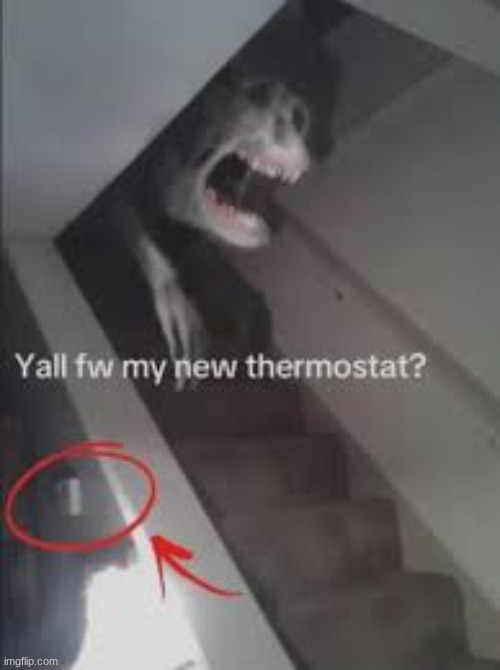 its tuff right? | image tagged in thermostat | made w/ Imgflip meme maker