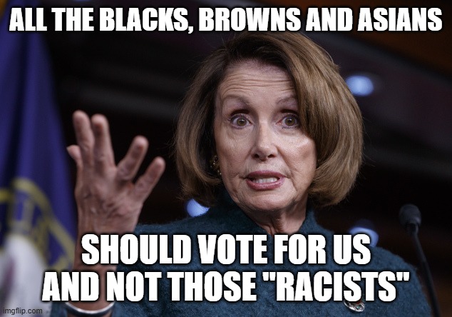 ALL THE BLACKS, BROWNS AND ASIANS SHOULD VOTE FOR US AND NOT THOSE "RACISTS" | image tagged in good old nancy pelosi | made w/ Imgflip meme maker